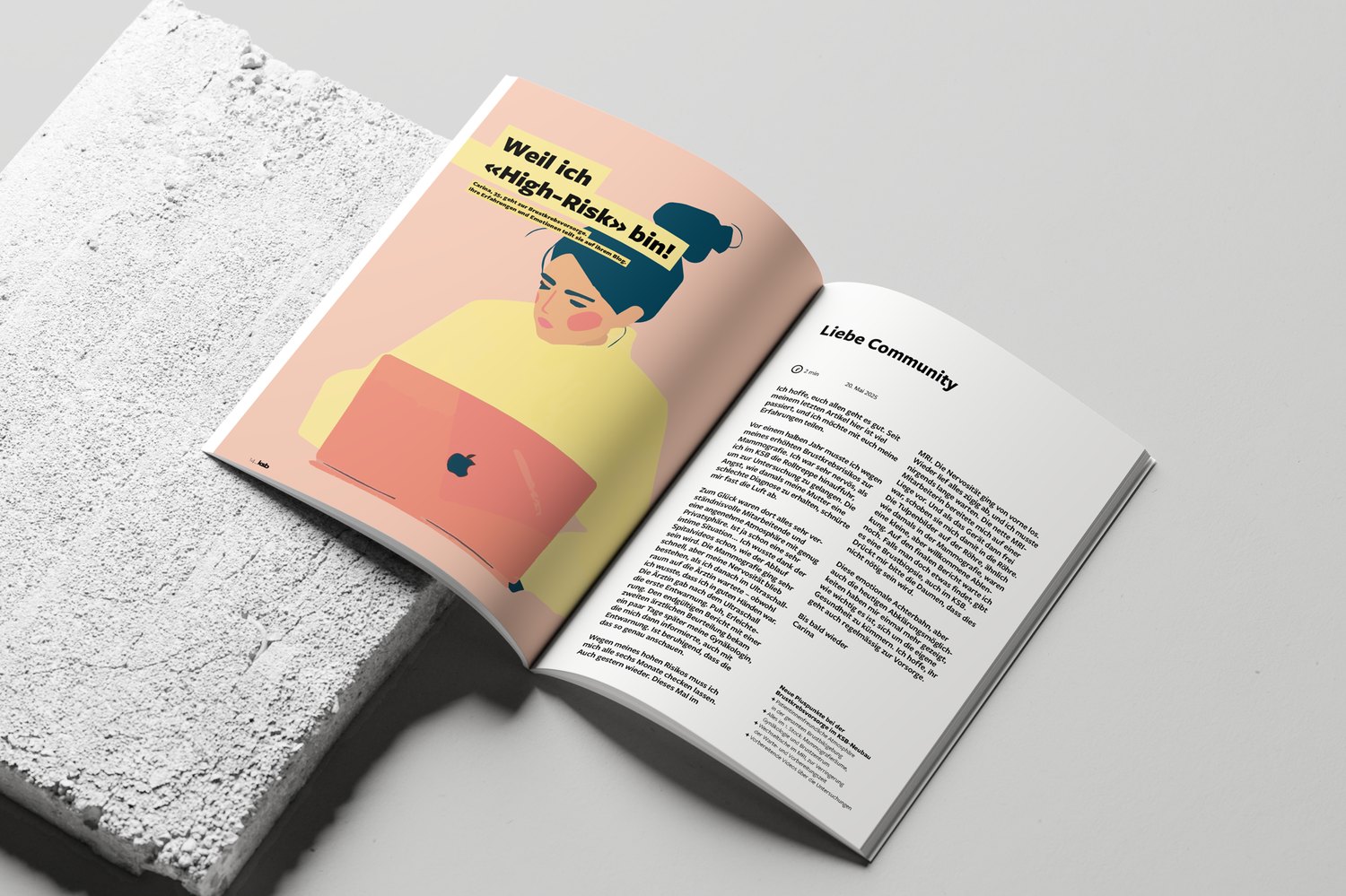 A spread from the KSB magazine issue