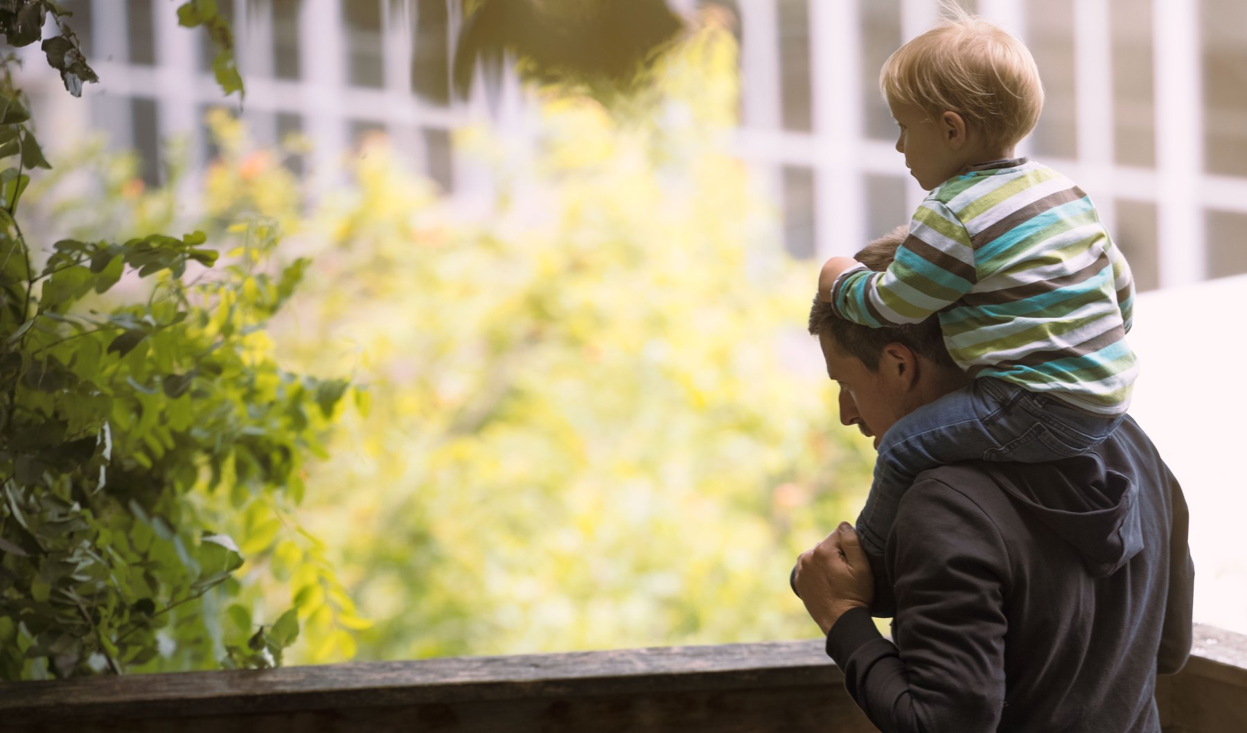 A father carrying a small child on his shoulders on a garden balcony
